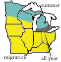 Midwestern range of Larus delawarensis